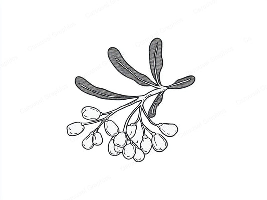 Mistletoe Vector Graphic preview