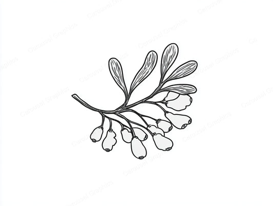 Mistletoe Vector Graphic preview