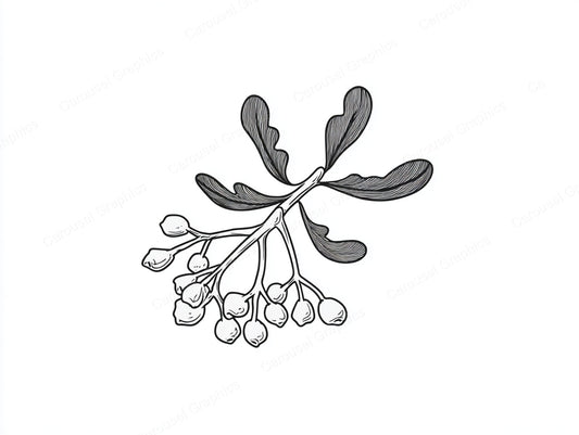 Mistletoe Vector Graphic preview