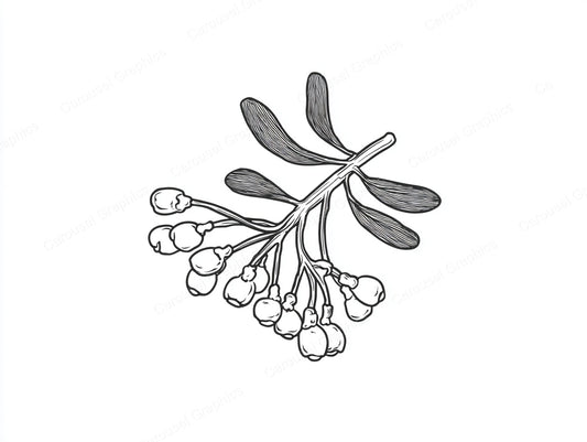 Mistletoe Vector Graphic preview