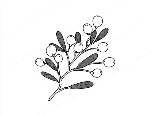 Mistletoe Vector Graphic preview