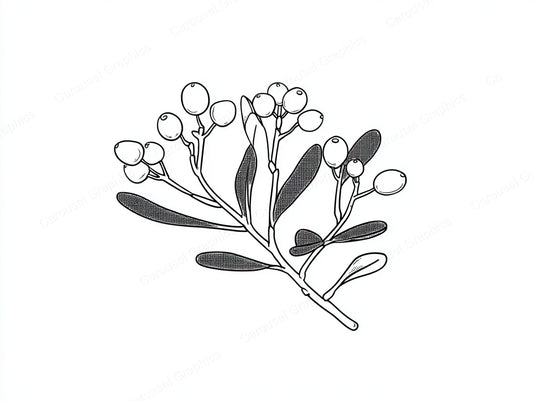 Mistletoe Vector Graphic preview