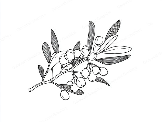 Mistletoe Vector Graphic preview