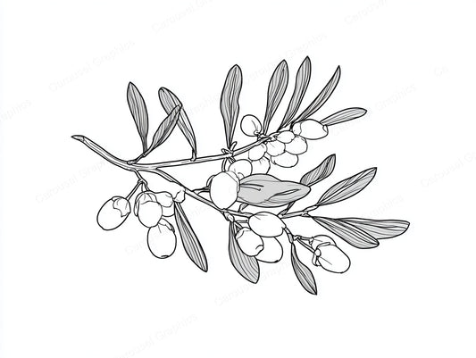 Mistletoe Vector Graphic preview
