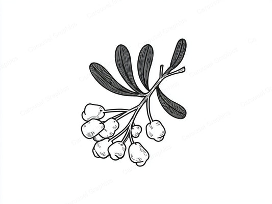 Mistletoe Vector Graphic preview