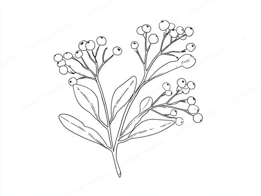 Mistletoe Vector Graphic preview