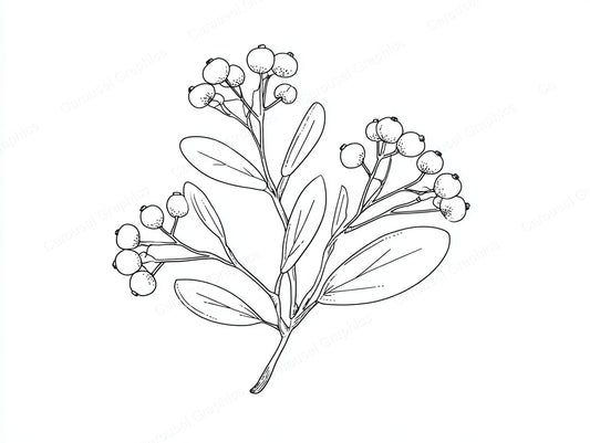 Mistletoe Vector Graphic preview