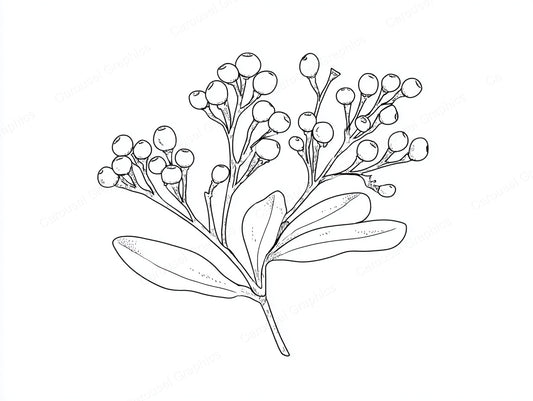 Mistletoe Vector Graphic preview