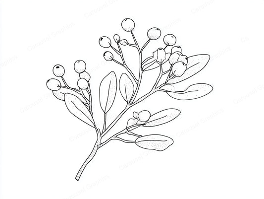 Mistletoe Vector Graphic preview