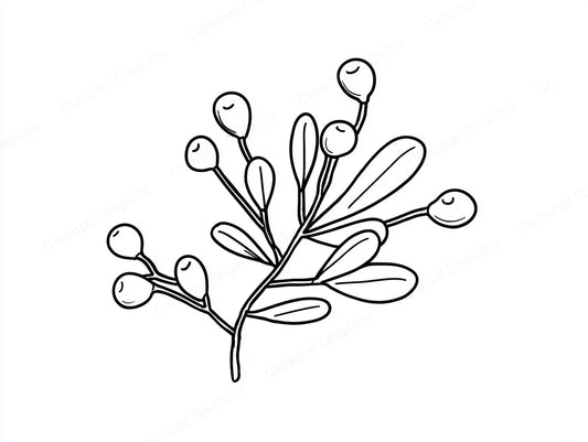 Mistletoe Vector Graphic preview