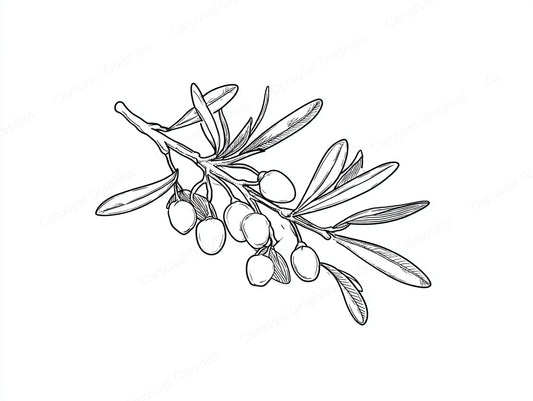 Mistletoe Vector Graphic preview