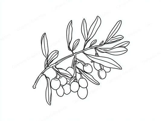 Mistletoe Vector Graphic preview