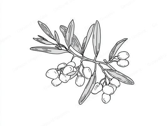 Mistletoe Vector Graphic preview