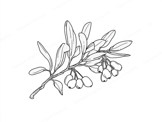Mistletoe Vector Graphic preview