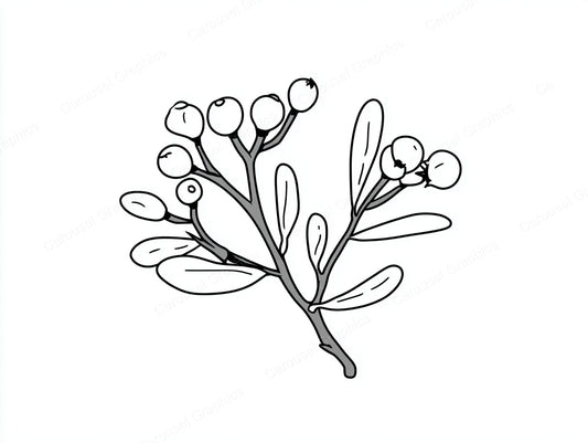 Mistletoe Vector Graphic preview