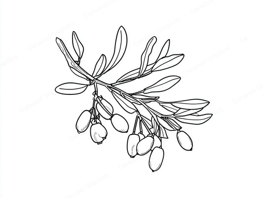 Mistletoe Vector Graphic preview