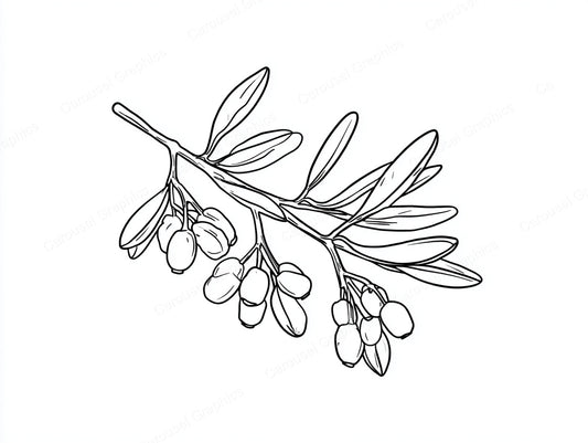 Mistletoe Vector Graphic preview