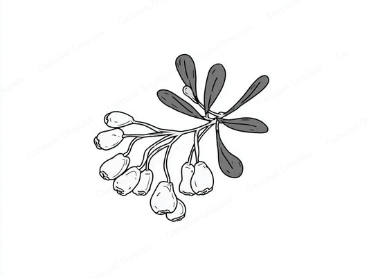 Mistletoe Vector Graphic preview