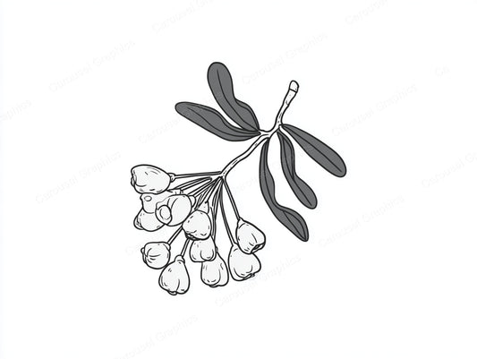 Mistletoe Vector Graphic preview